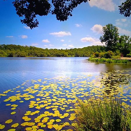 Vacances Dans Les Landes Aureilhan  Esterno foto